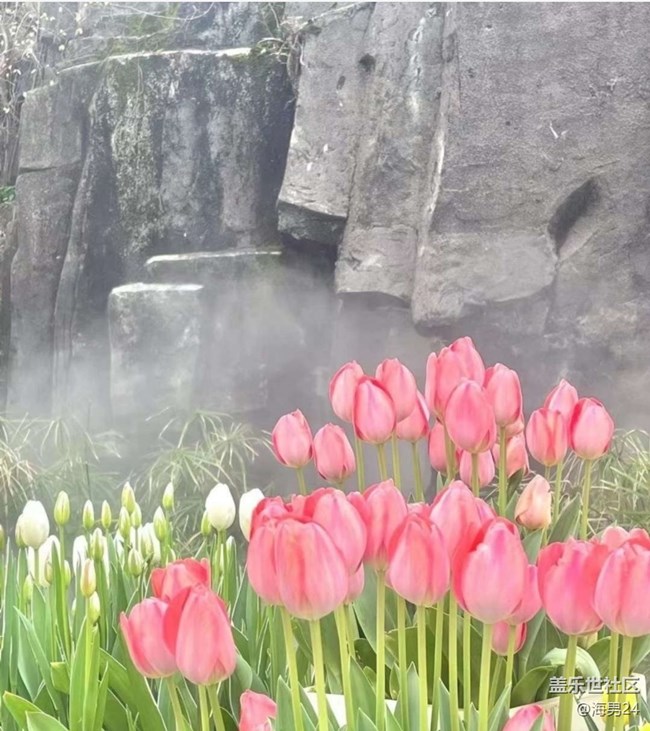 【途有春光】賞郁季