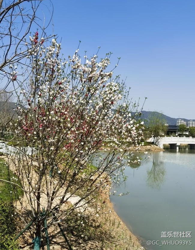 【途有春光】踏春