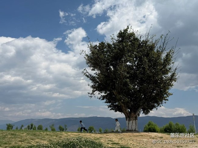 【途有春光】蒼山洱海