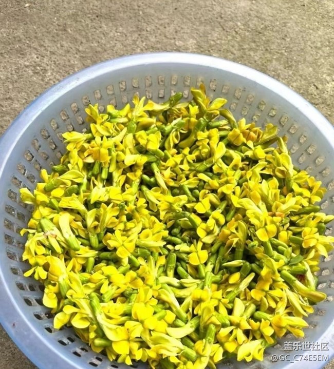 【途有春光】山珍