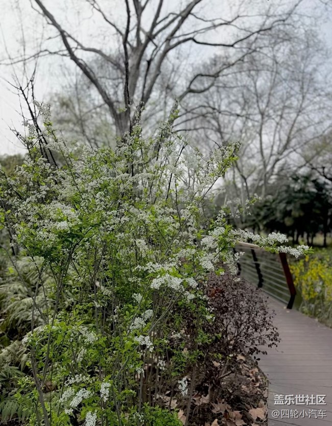 【途有春光】游園小記