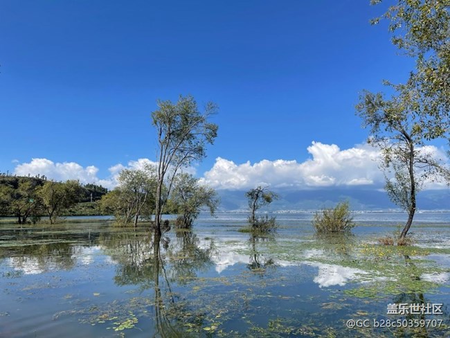【途有春光】蒼山洱海