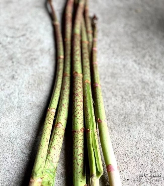 【途有春光】山珍