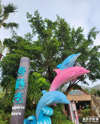 【鏡藏萬象】海豚灣