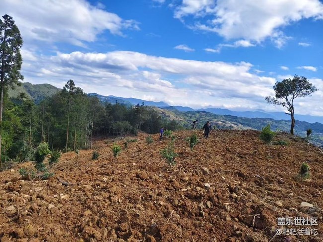 【途有春光】開荒