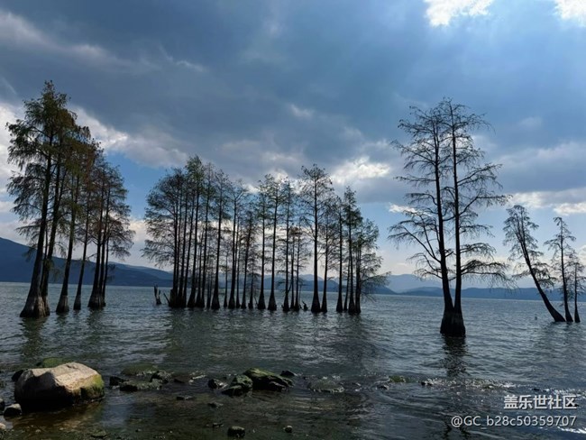 【途有春光】蒼山洱海