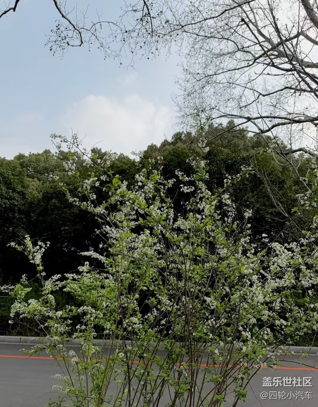 【途有春光】游園小記