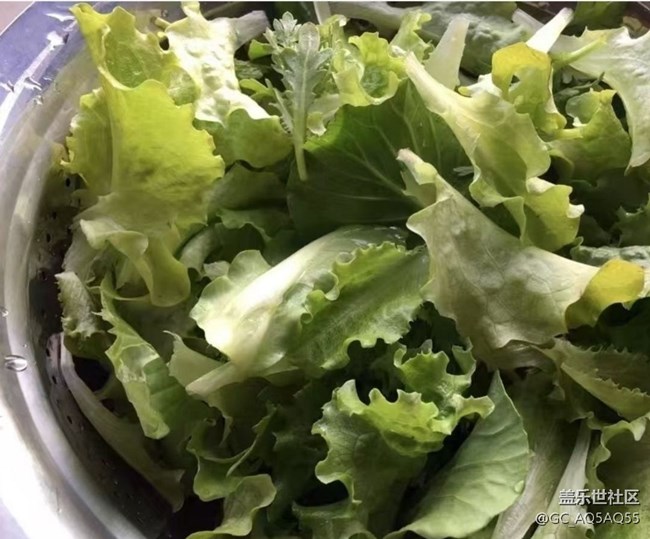 【食鮮記】自給自足