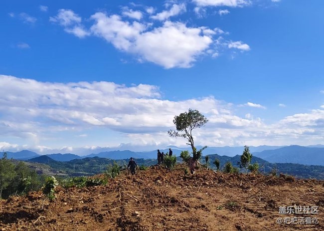 【途有春光】開荒