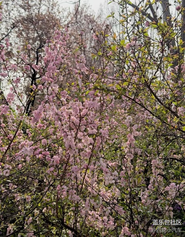 【途有春光】游園小記