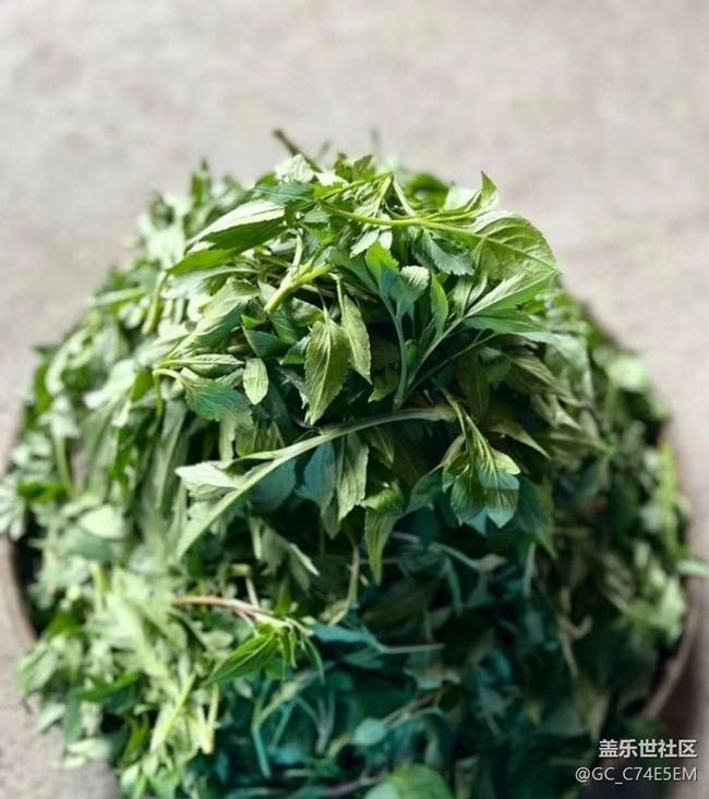 【途有春光】山珍