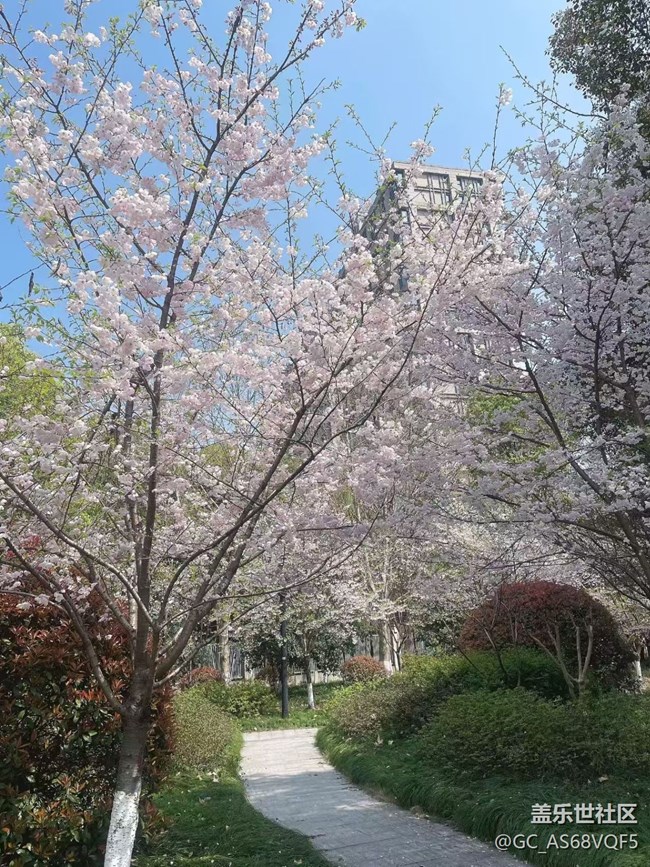 【途有春光】路上的風(fēng)景