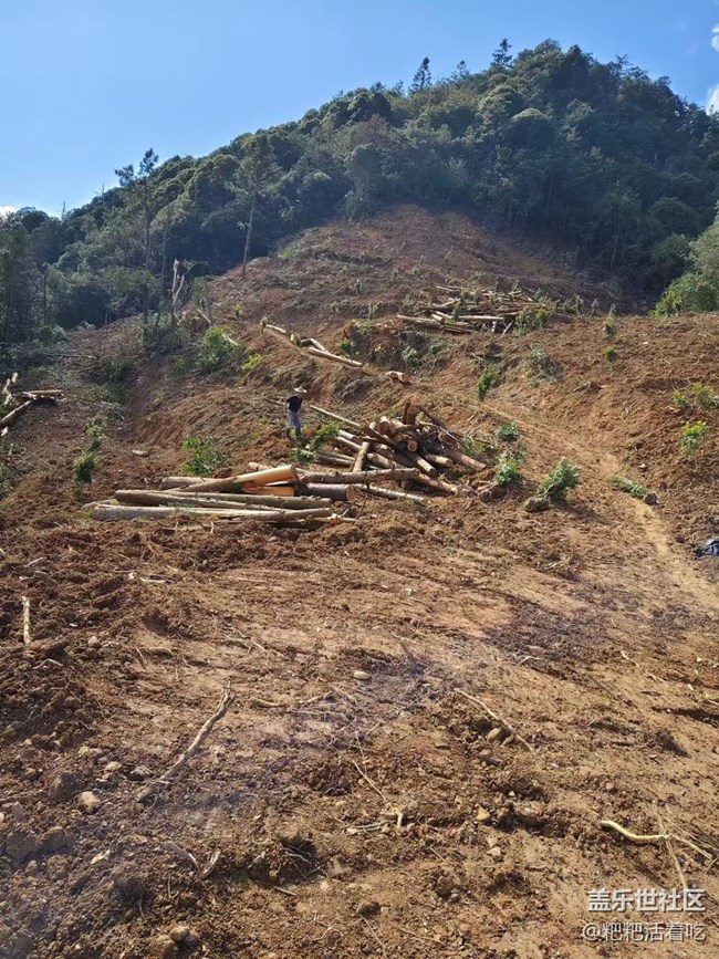 【途有春光】開荒