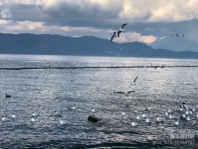 【途有春光】蒼山洱海