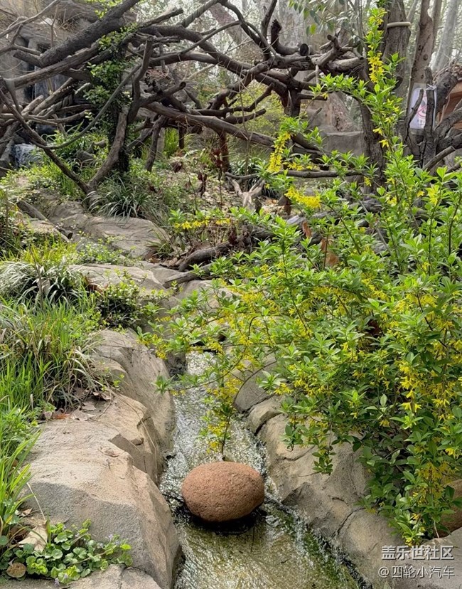 【途有春光】游園小記