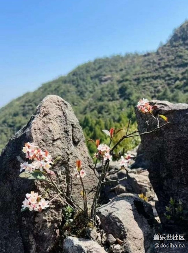 【途有春光】登頂