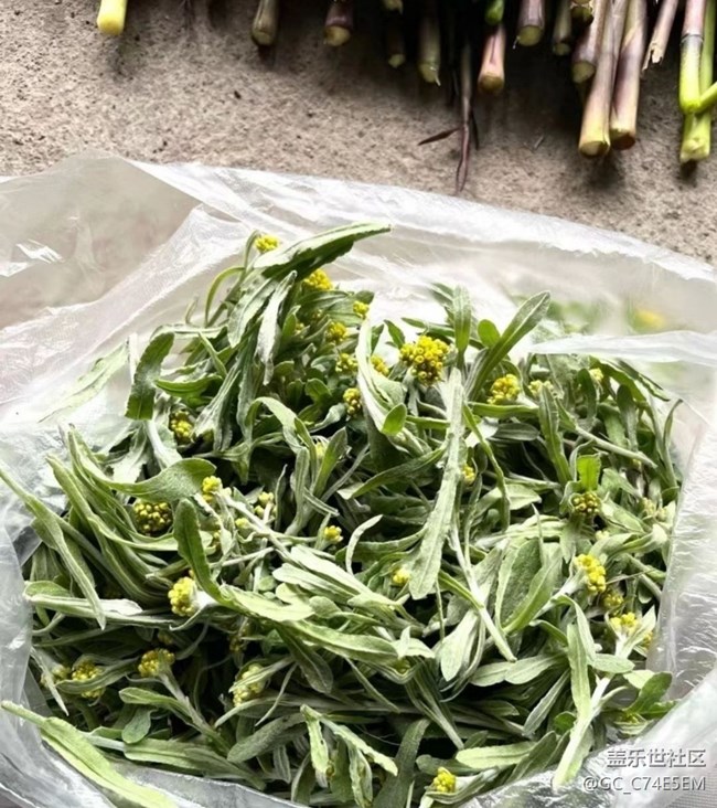 【途有春光】山珍