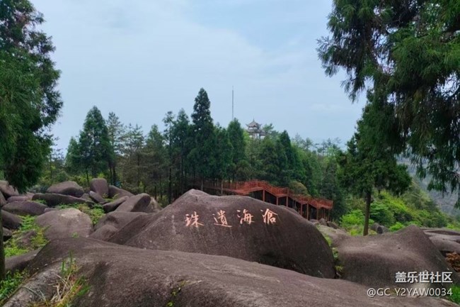 【途有春光】看山