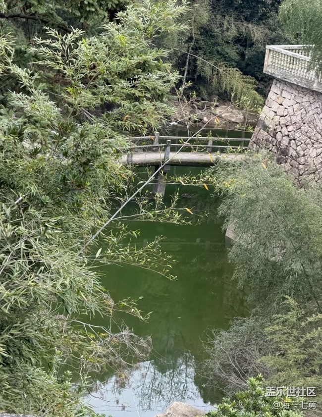 【途有春光】踏青去了