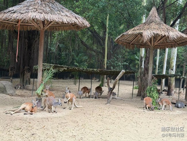 【途有春光】動物園