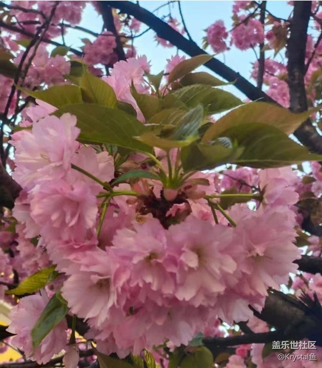 【途有春光】春有約