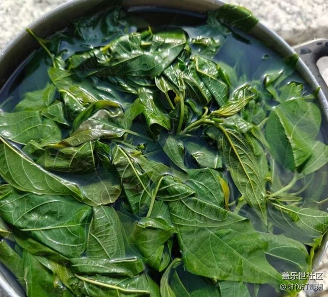 【途有春光】山里的快樂