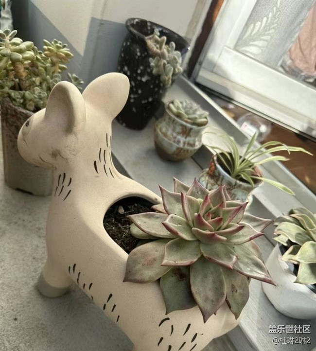 【途有春光】綠色