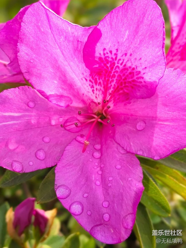 【途有春光】賞春