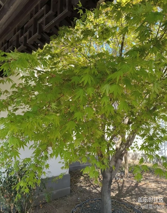【途有春光】春的氣息