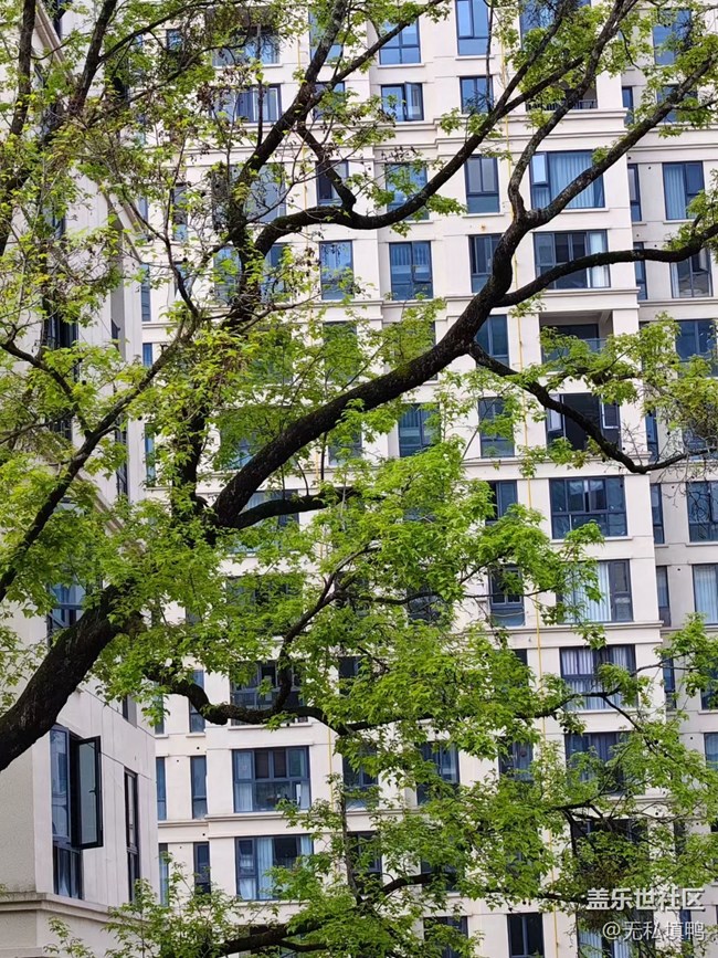 【途有春光】賞春