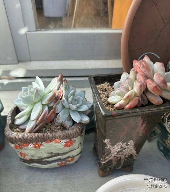 【途有春光】綠色