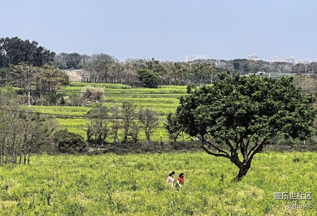 【途有春光】踏踏青
