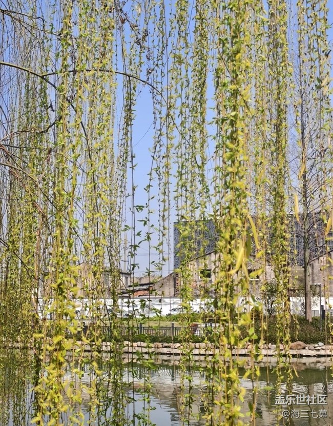 【途有春光】踏青去了