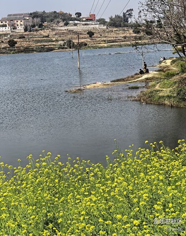 【途有春光】踏踏青