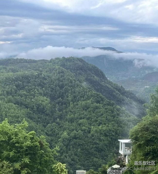 【途有春光】雨后山林