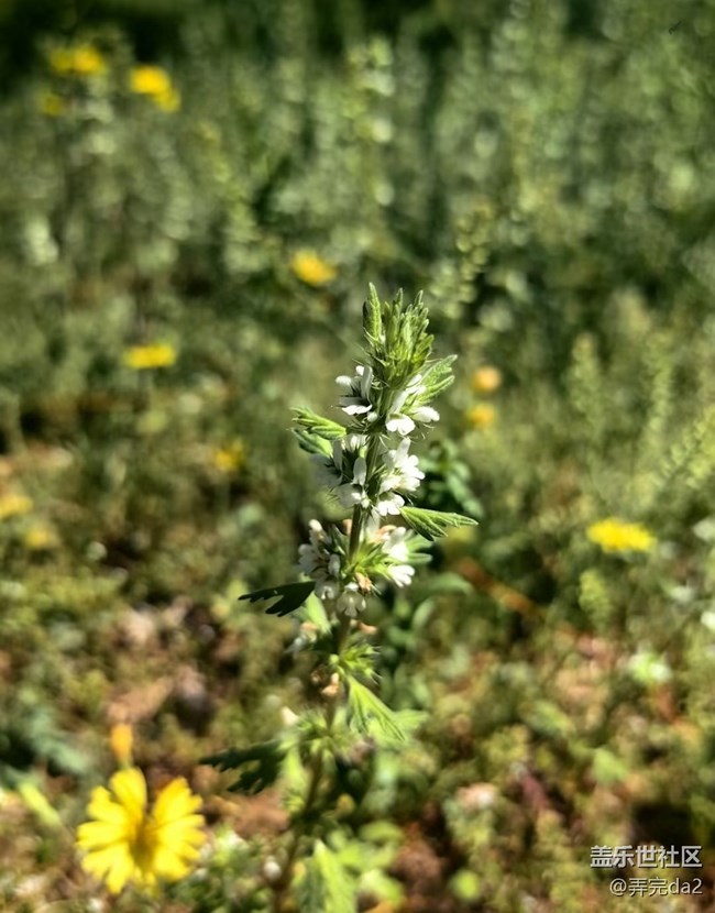 【途有春光】春滿人間