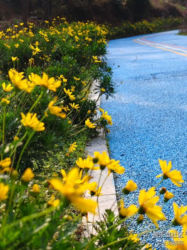 【途有春光】賞春