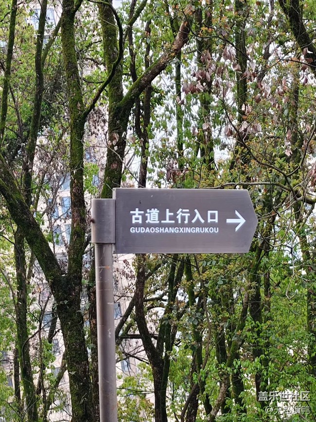 【途有春光】賞春