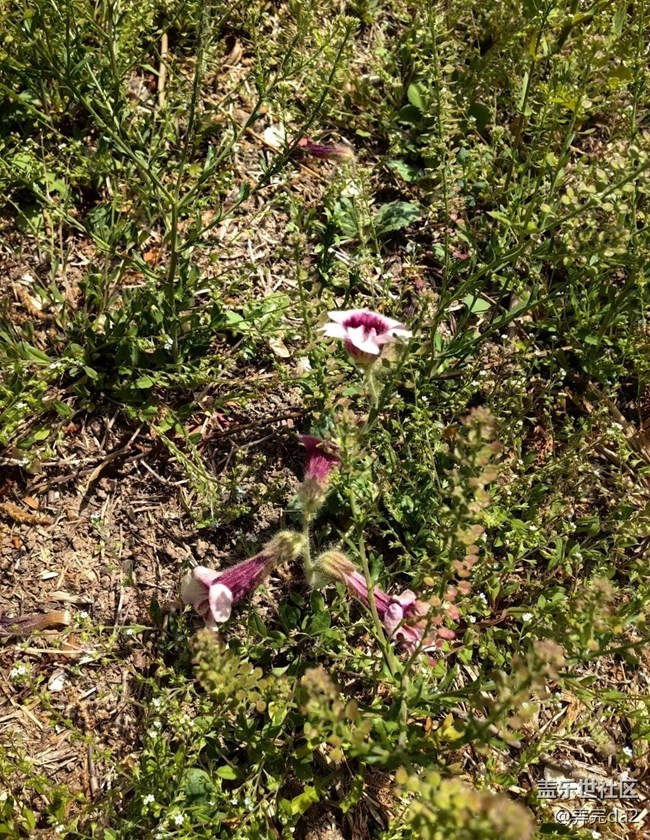 【途有春光】春滿人間