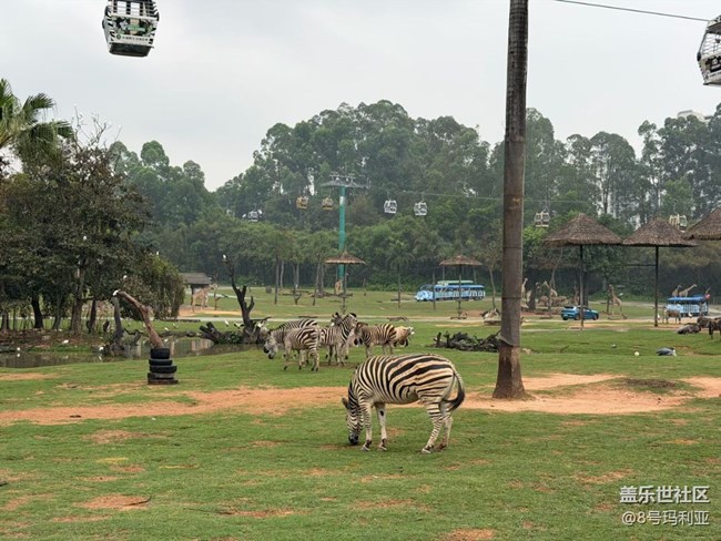 【途有春光】動物園