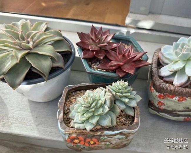 【途有春光】綠色