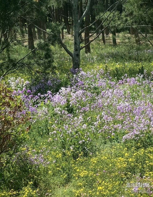 【途有春光】春滿人間