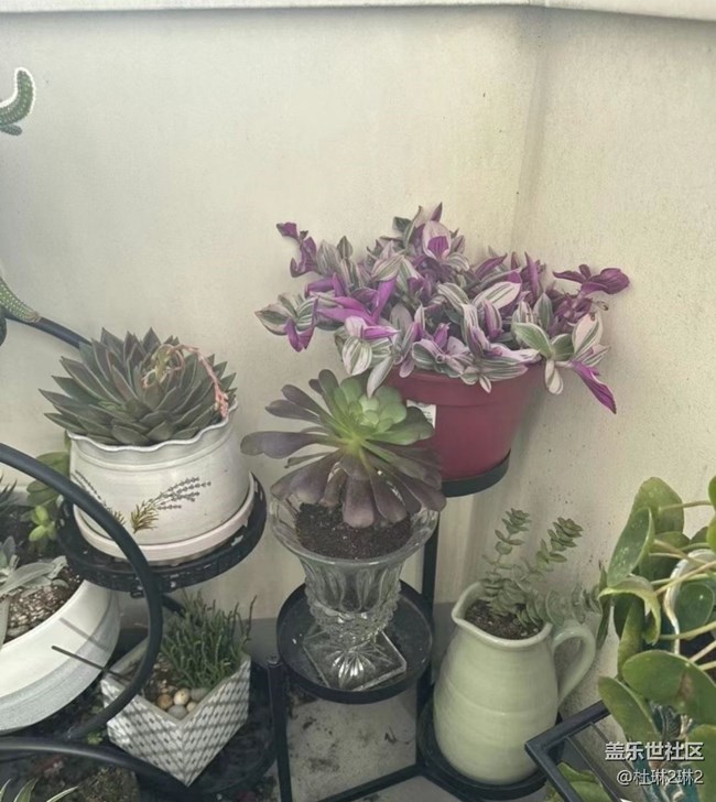 【途有春光】綠色