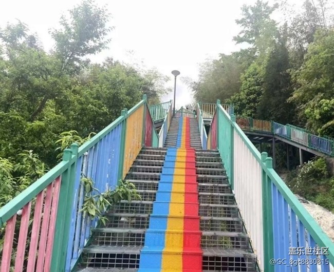 【途有春光】雨后山林