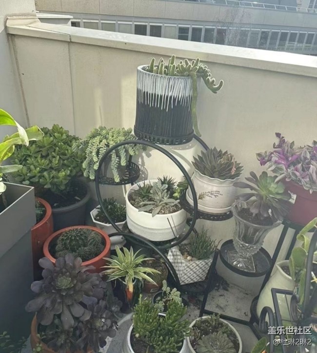 【途有春光】綠色