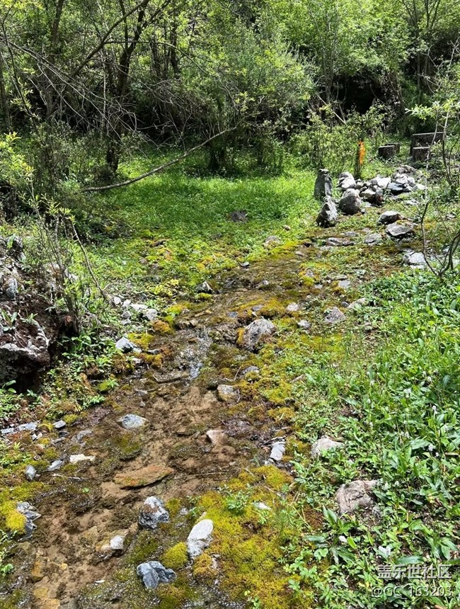 【途有春光】大自然