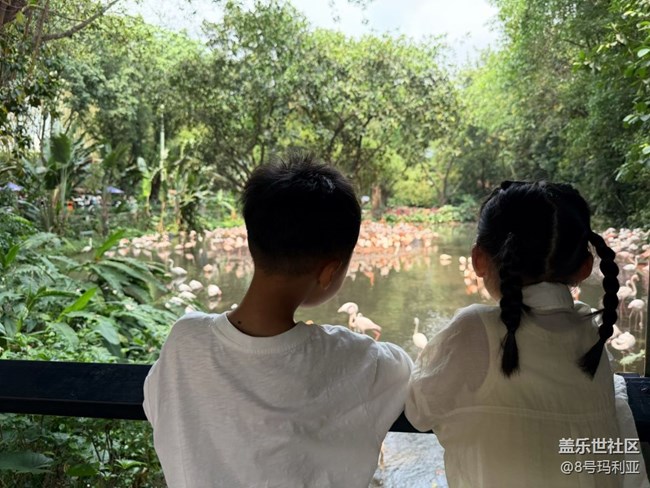 【途有春光】動物園