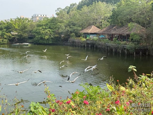 【途有春光】動物園