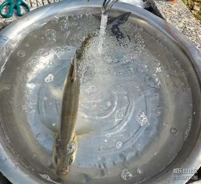 【途有春光】山里的快樂