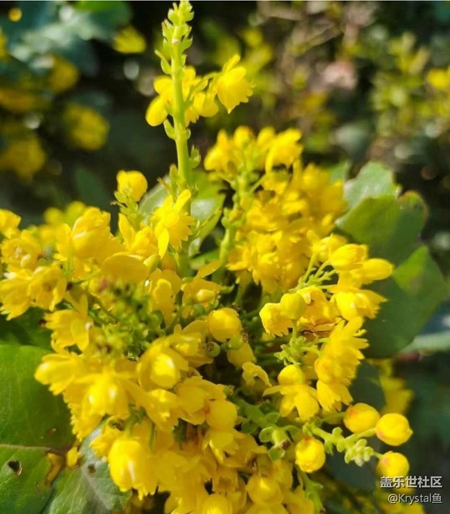 【途有春光】春有約